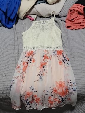 Cream Lace & Coral Floral Chiffon Dress